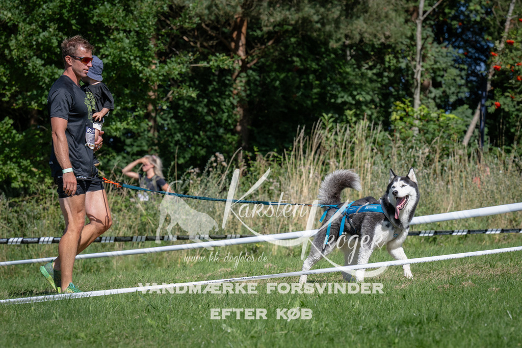1129_ZZ91769 | kk-dogfotos