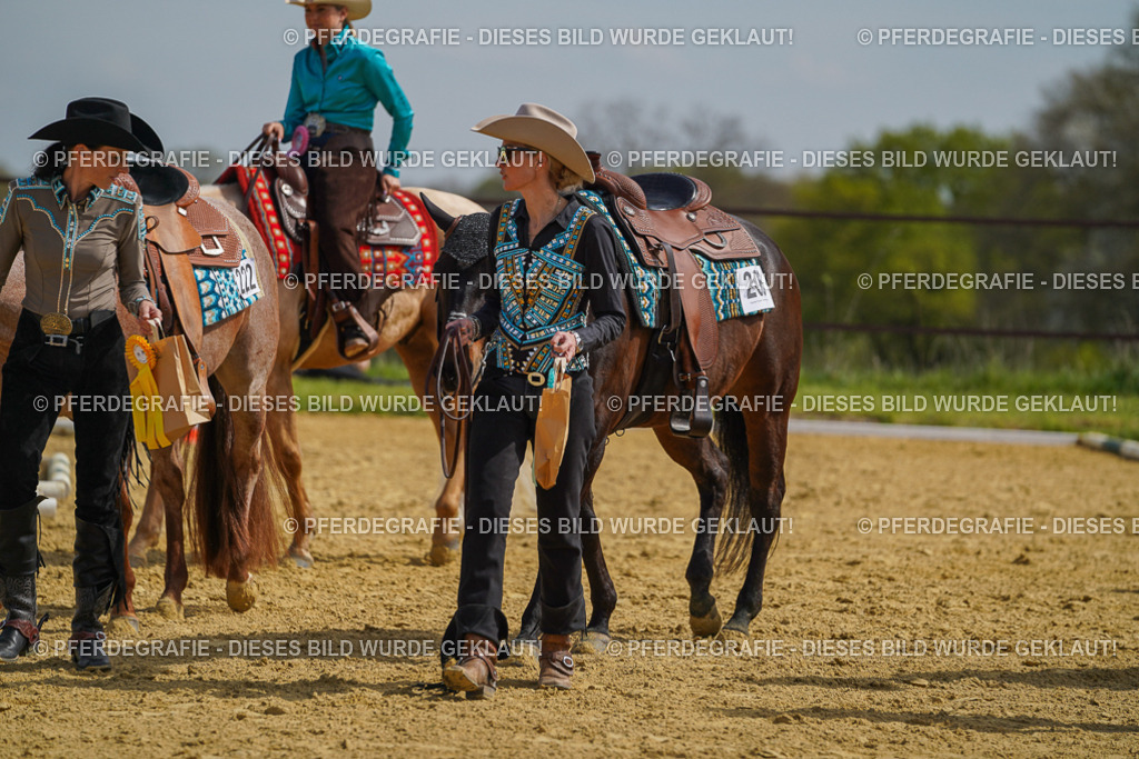 DSC04273 | Pferdegrafie