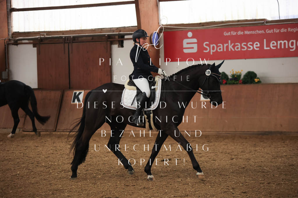 IMGT7087 | pl-fotografie