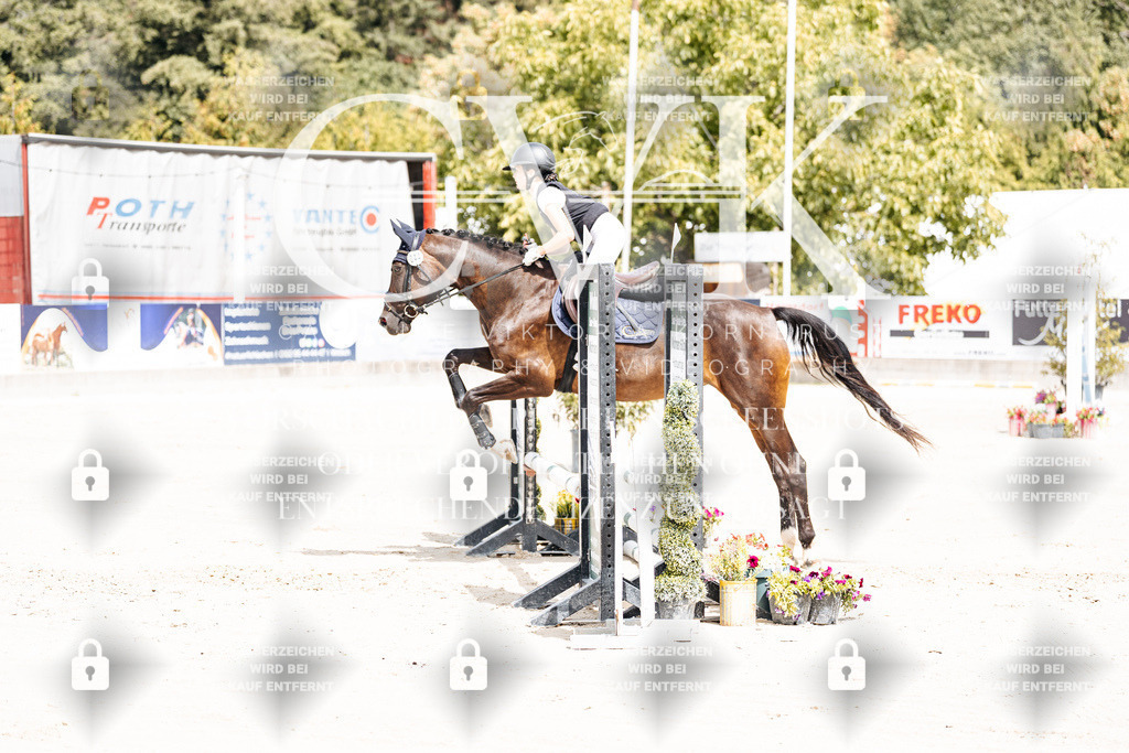 CK906337 | Turnierfotografie Pferdefotografie Trier Rheinland-Pfalz Pferdesport Reitsport Tierfotografie Sportfotografie Pferdevideo Pferdevideografie Equestrianvideography equestrianphotography  - Realisiert mit Pictrs.com