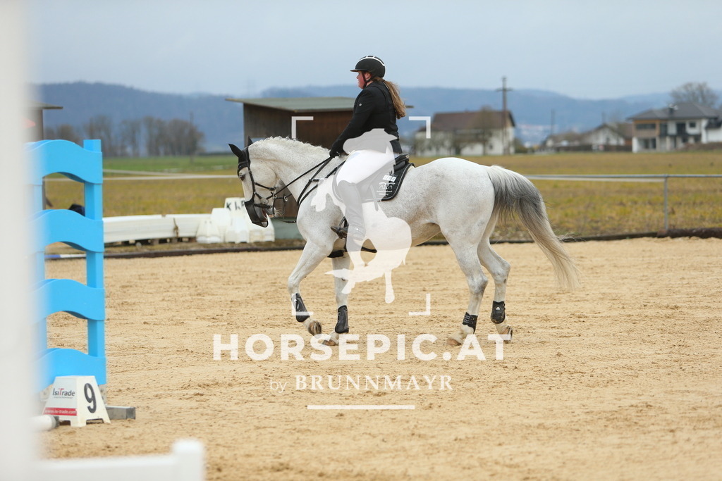 DL2Q1419 | Willkommen bei Brunnmayr - Design & Fotografie – Ihrem Spezialisten für Reitturniere und Pferdeveranstaltungen in Oberösterreich, Salzburg und Bayern! Seit über 17 Jahren sind wir leidenschaftlich dabei.