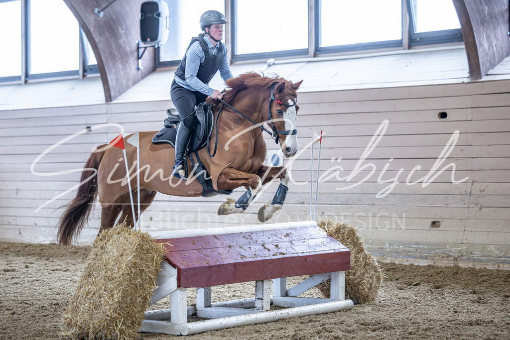 20260221-_3LI0205 | Tierfotografie Pferde, Hunde, Katzen, Haustiere.
Turnierfotografie Reitturniere, Reiten, Springreiten, Dressur in Hanau, dem Main-Kinzig-Kreis und dem Rhein-Main- Gebiet um Frankfurt
