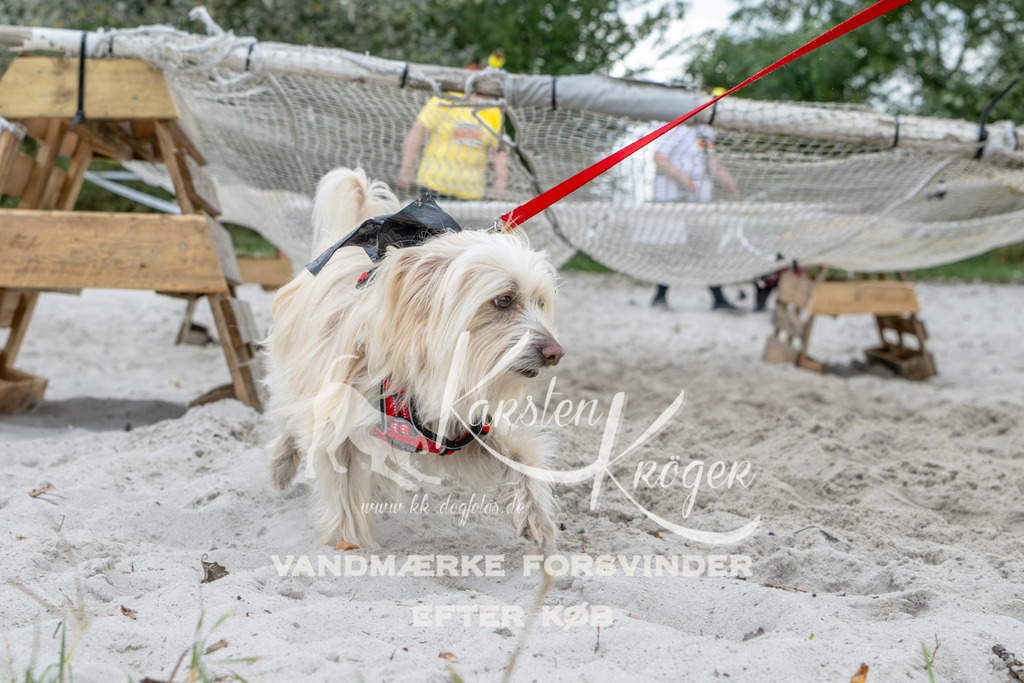 1540_ZZ96542 | kk-dogfotos