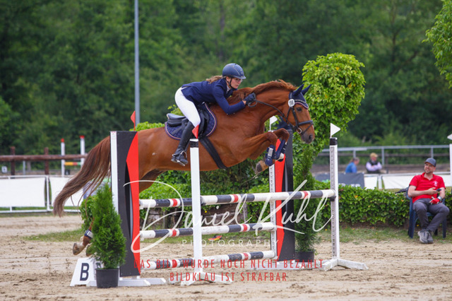 DKP41845 | Turniersportfotografie; Pferdefotografie; Dressurfotografie