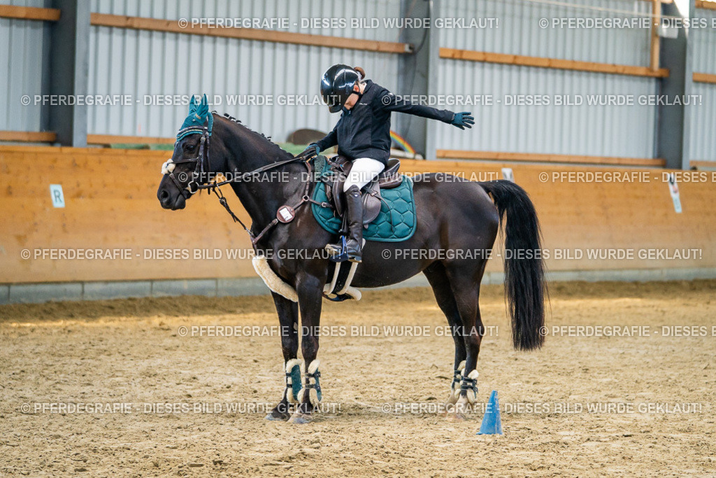 DSC00977 | Pferdegrafie