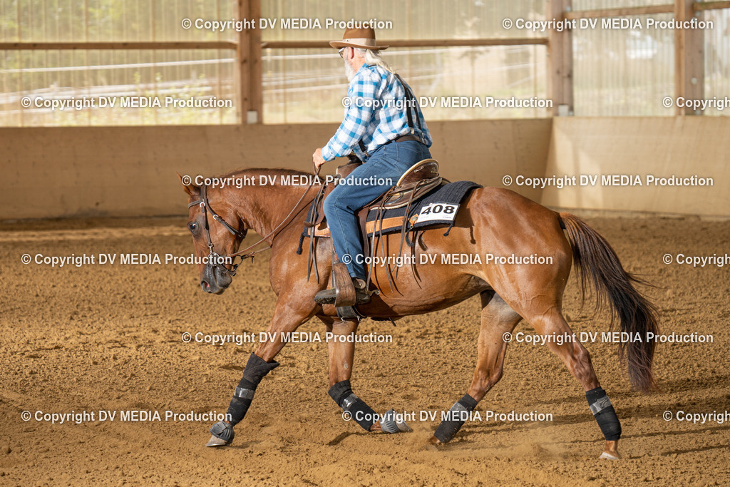LAU01678 | dv-media-shop - Realisiert mit Pictrs.com
