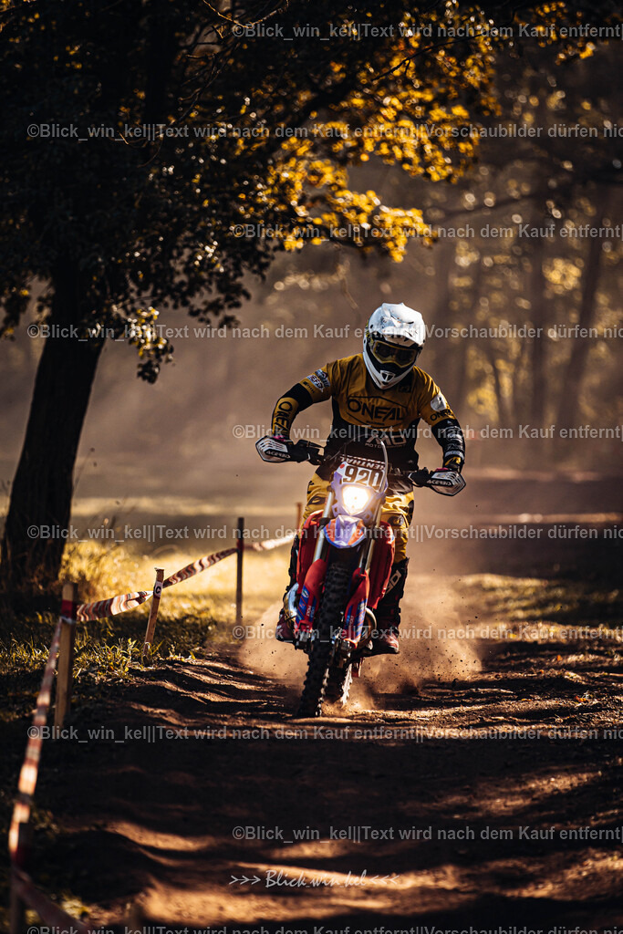 E68A6035 | blick_win_kel