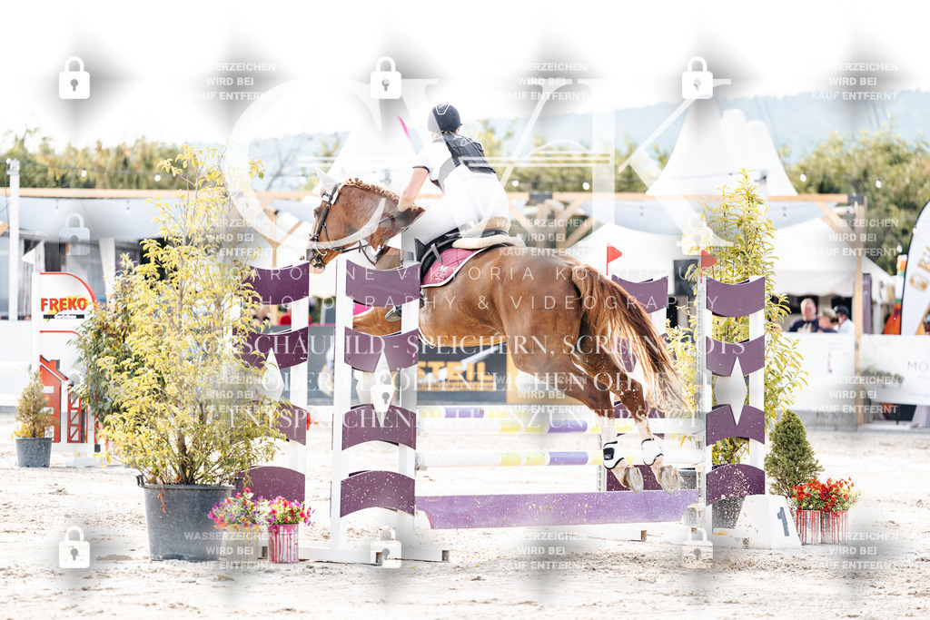 CK906673 | Turnierfotografie Pferdefotografie Trier Rheinland-Pfalz Pferdesport Reitsport Tierfotografie Sportfotografie Pferdevideo Pferdevideografie Equestrianvideography equestrianphotography  - Realisiert mit Pictrs.com