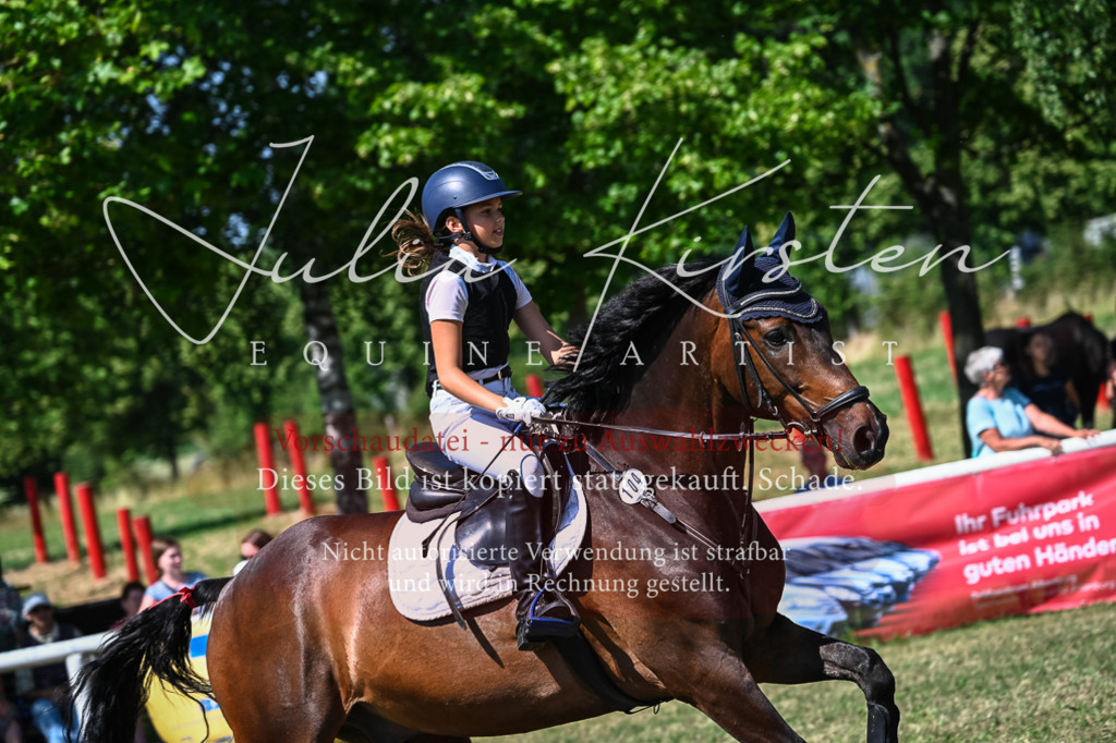 DSC_1382 | Pferde- und Turnierfotografie in Westsachsen. Pferdeportraits, Auftragszeichnungen und intuitive Kunst.
