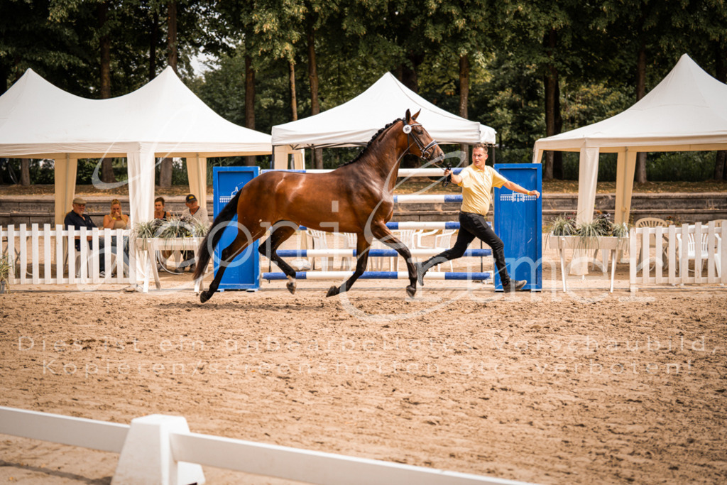 6.Fr00052 | Leoni Ertmer Photography - Realisiert mit Pictrs.com