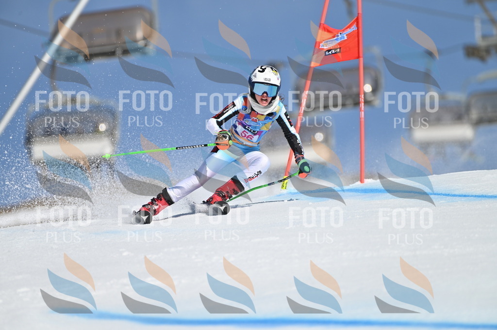 BGV_8638 | holidayphoto