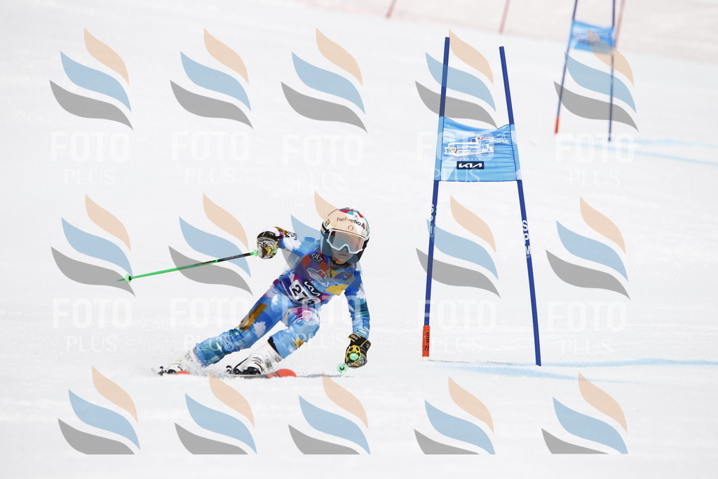 _U3G6892 | holidayphoto