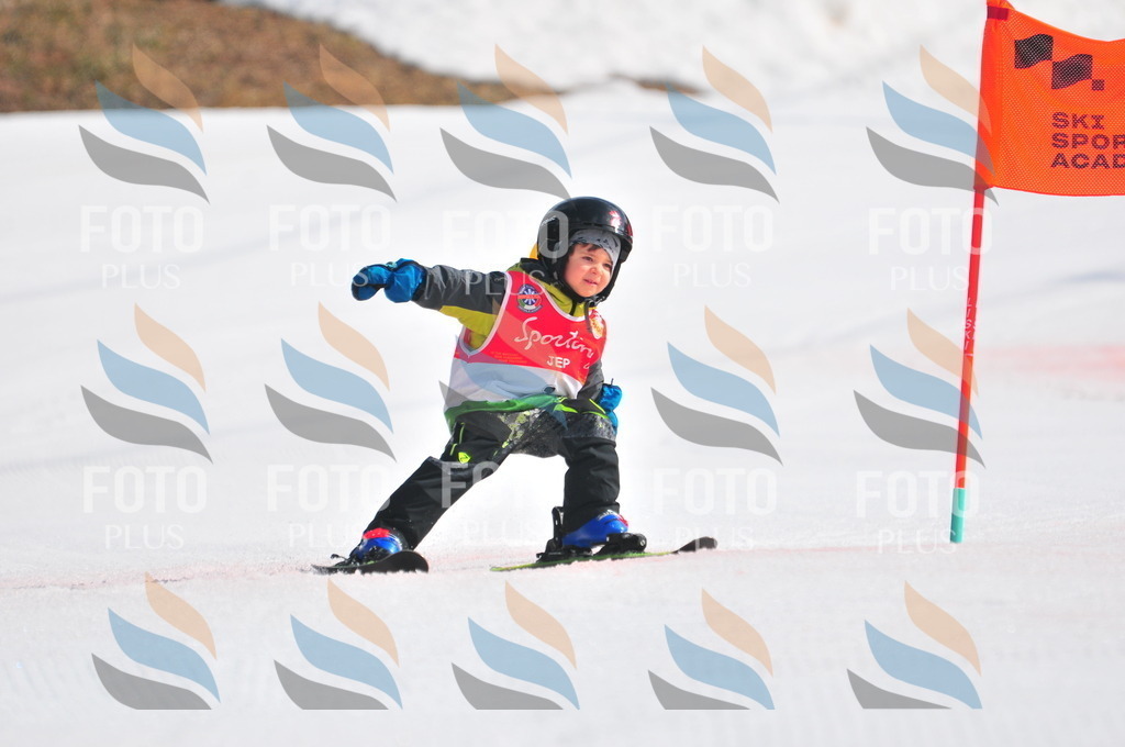 C0773 | holidayphoto