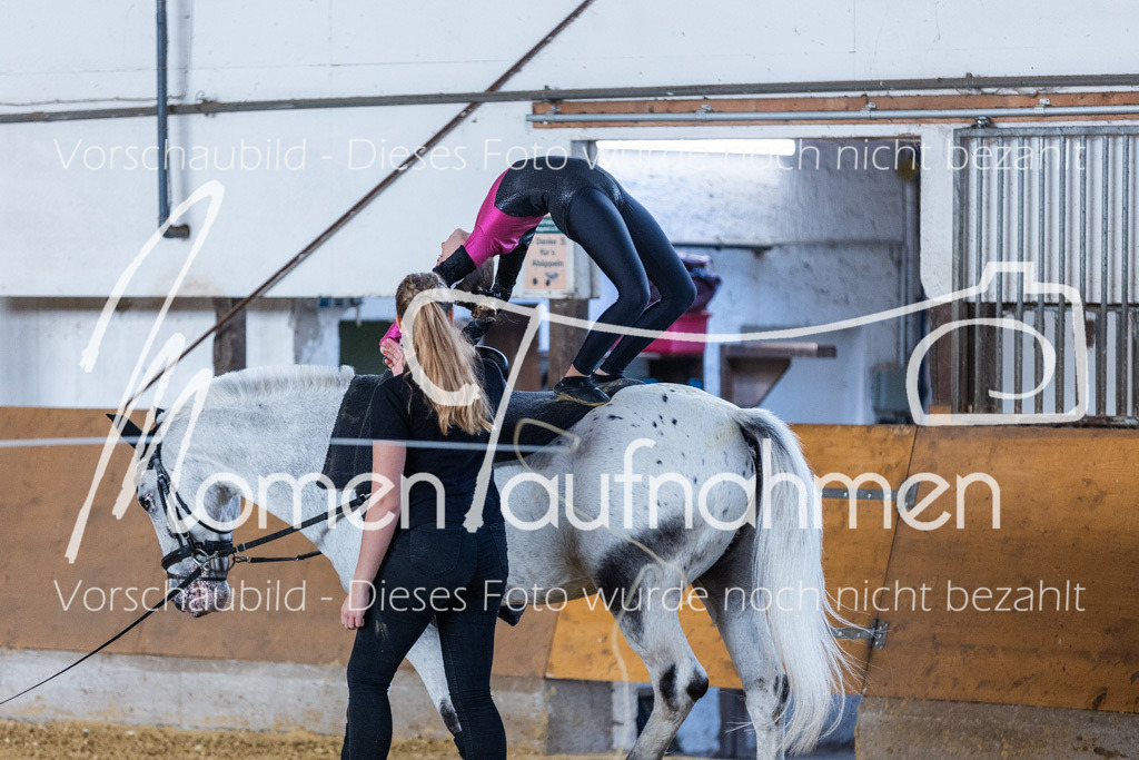 SS-Mini-156 | MomenTaufnahmen Pferdesportfotos