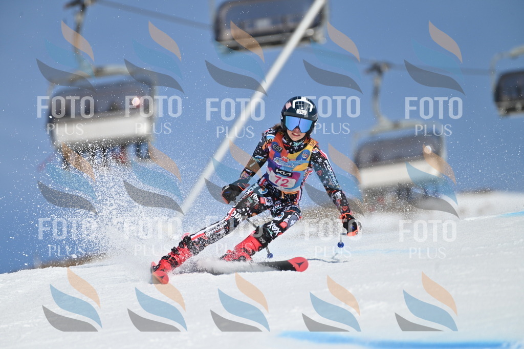 BGV_8938 | holidayphoto