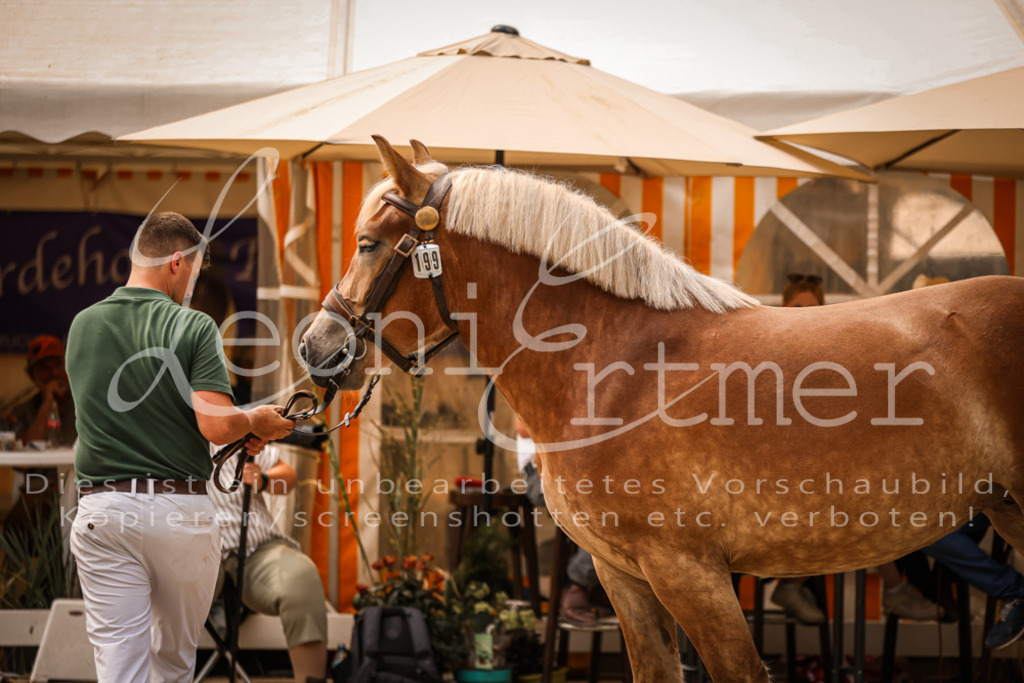 4.Sa00062 | Leoni Ertmer Photography - Realisiert mit Pictrs.com