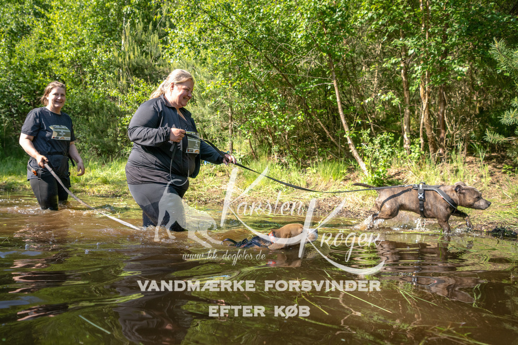 1727DKK992146 | kk-dogfotos