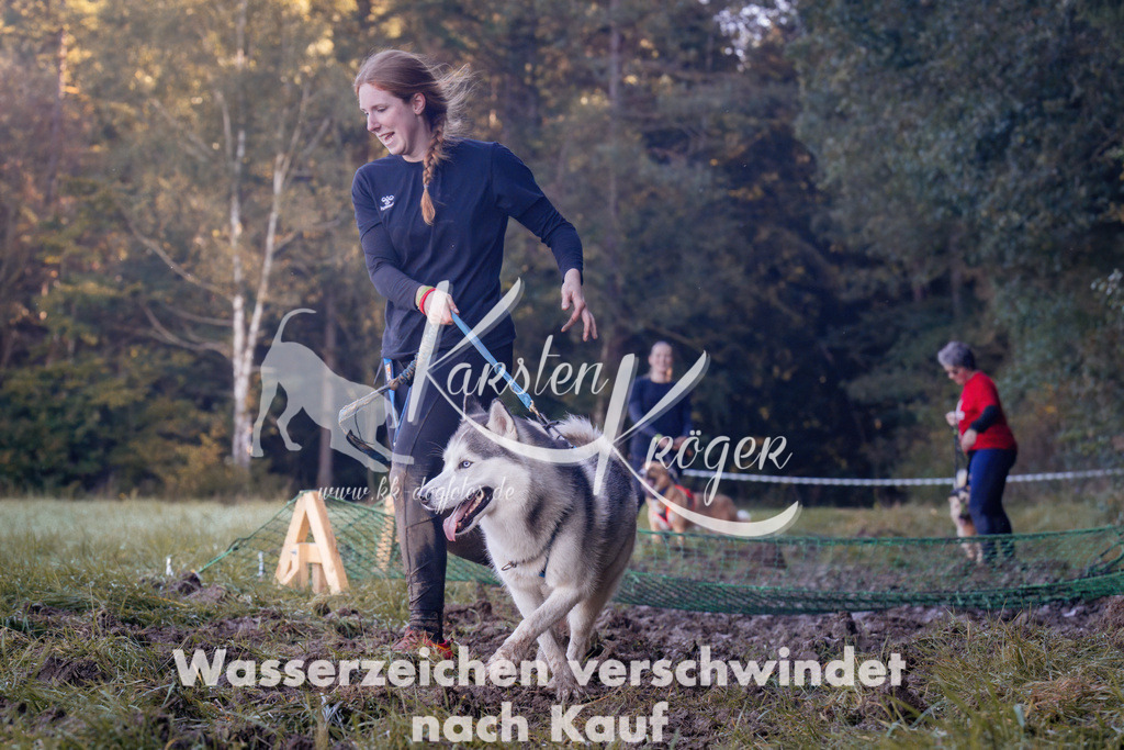 1042_ZZ91984 | kk-dogfotos