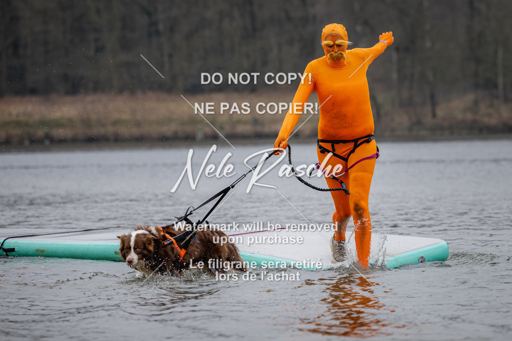 nelerasche_Hulsbeek_Sa1430-1515_250 | nelerasche