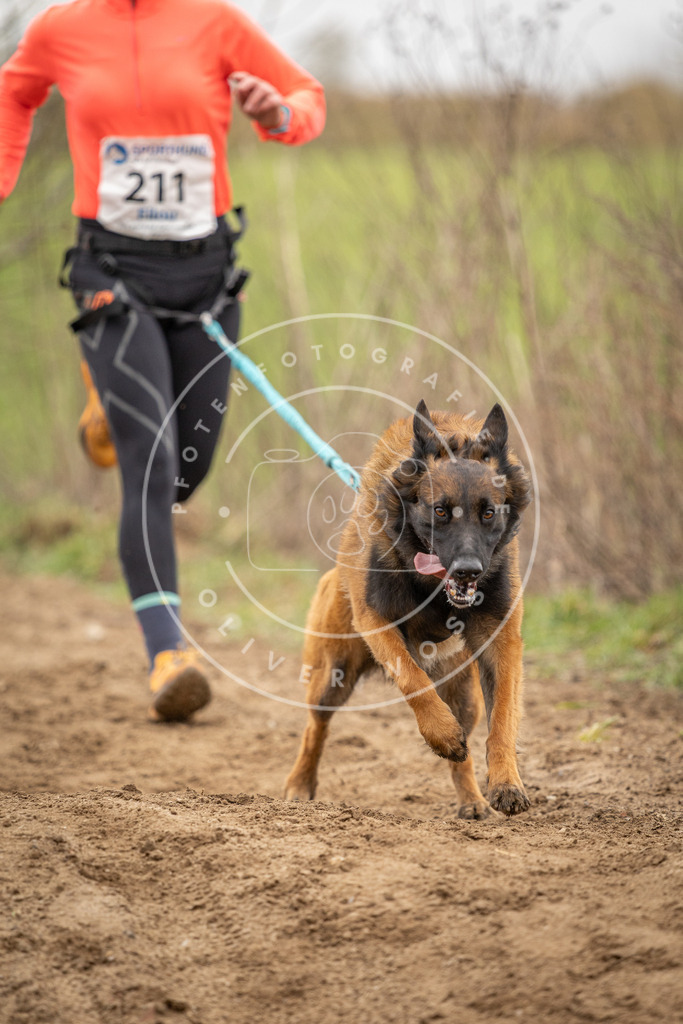 DV3A2661 | Hundefotografie, Tierfotograf, Pfotenfotografie, Fotoshooting Hund, Hunde Portrait, Hundesport, Hundeportraits, Heideshooting, Hunde, Sportfotograf, Hundefotograf, Turnierhundsport, THS,  - Realisiert mit Pictrs.com
