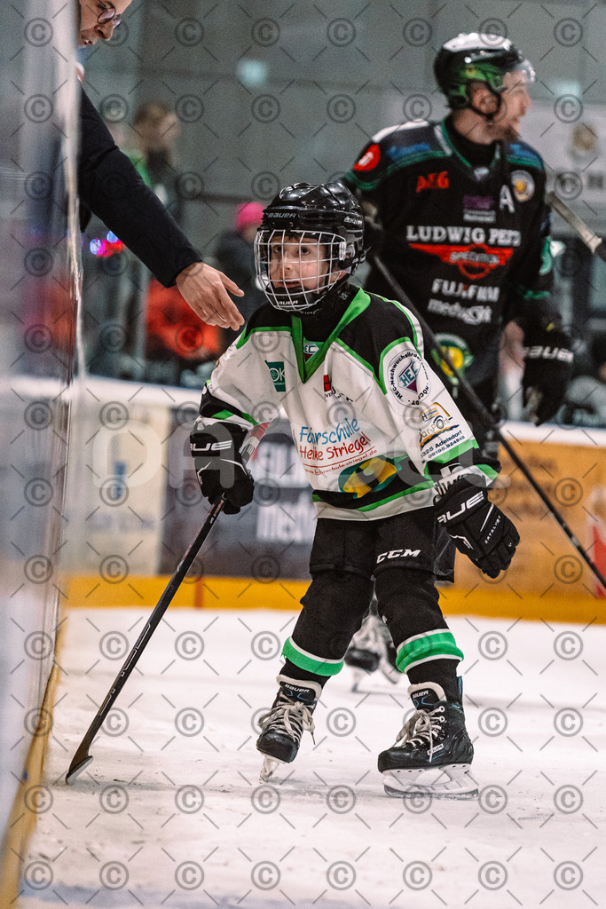 Alligators_vs_Erding_01_02_2026-41 | Höchstadt Alligators Fotogalerie: Eishockey-Action aus Franken. Professionelle Spielfotos, Portraits & Stadionbilder zum Download. Jetzt entdecken! - Realized with Pictrs.com