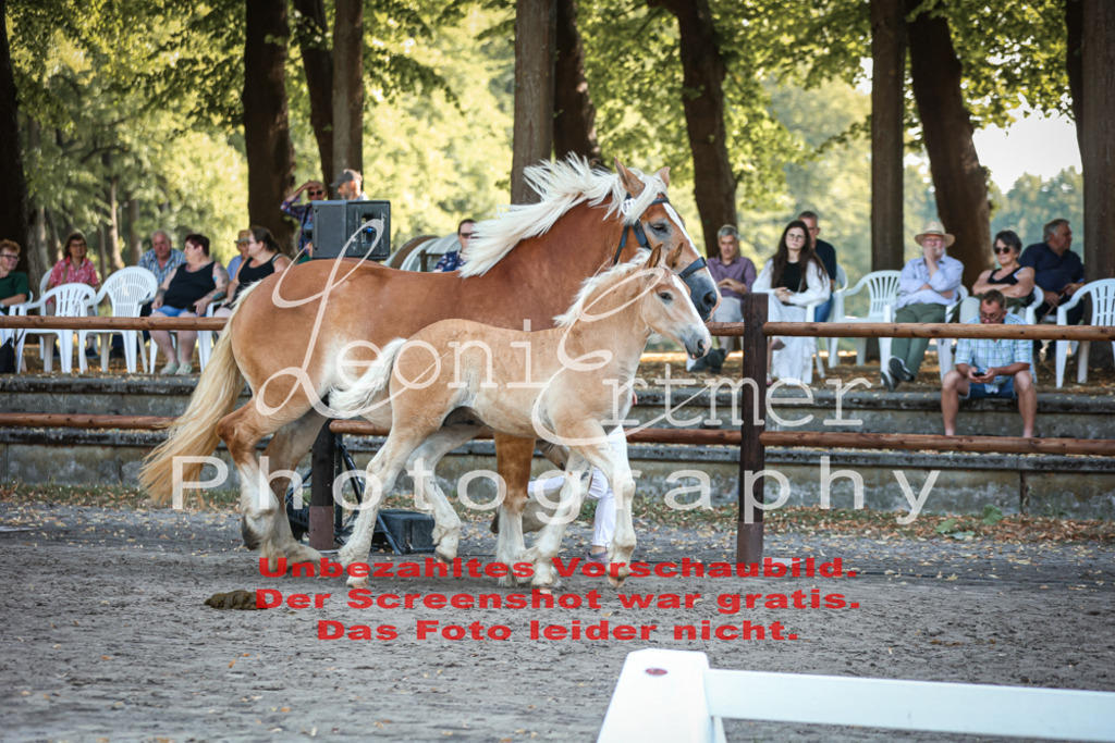 FrKHF00043 | Leoni Ertmer Photography - Realisiert mit Pictrs.com