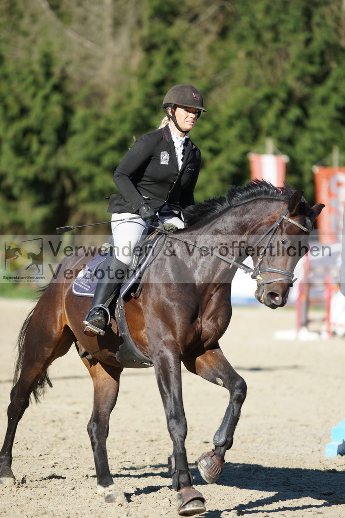 DSC08294 | equestrian-live-com