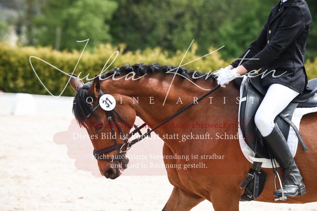 20230518_JK-Röhrsdorf-11-0210 | Pferde- und Turnierfotografie in Westsachsen. Pferdeportraits, Auftragszeichnungen und intuitive Kunst.