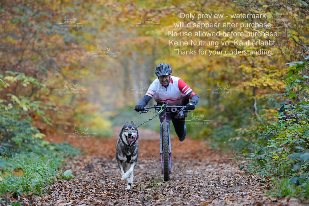 Scooter_So-34 | stephaniefillaphotographie - Realisiert mit Pictrs.com