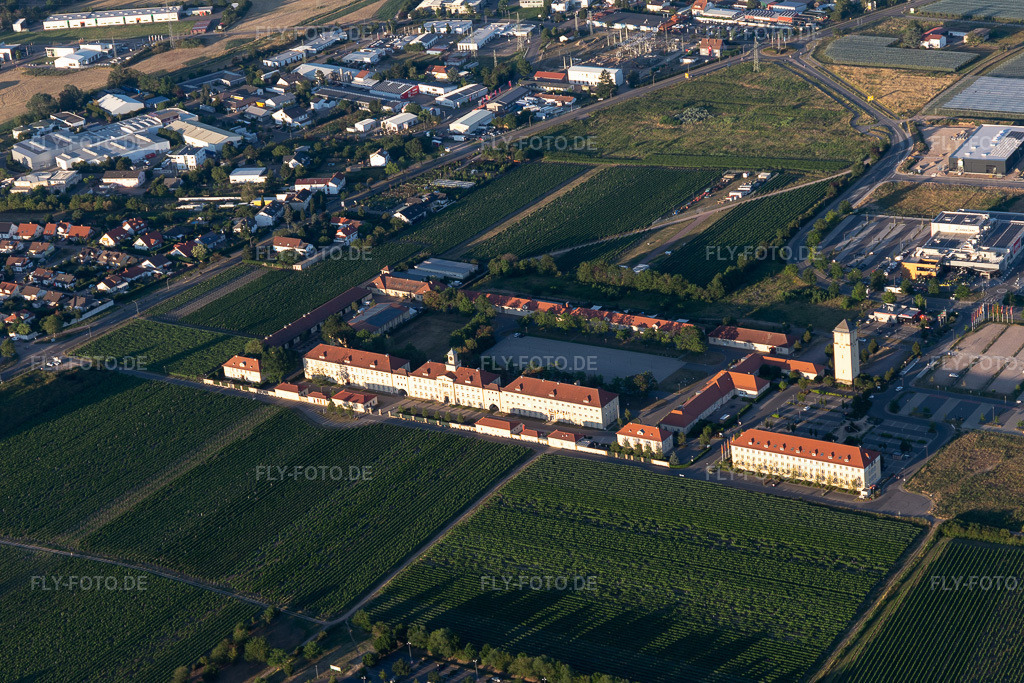 Luftbild: Hornbach Zentrale in Neustadt an der Weinstraße im Bundesland Rheinland-Pfalz in Deutschland. Foto: IMG_115641.jpg vom 29.06.2019 durch Werner Riehm/FLY-FOTO.de