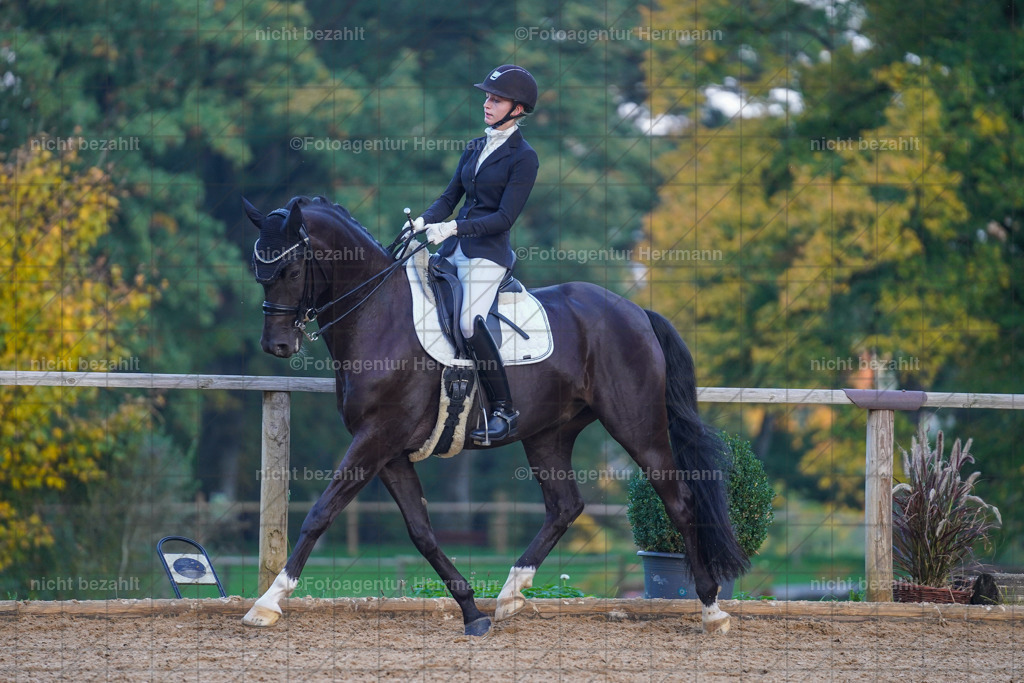 20221007-FAH00625 | Diessen am Ammersee, 2022, Dressur- und Springturnier, Reitsportbilder, Turnierfotografen Bayern, Pferdefotografen, Fotoagentur Herrmann, Turnierbilder