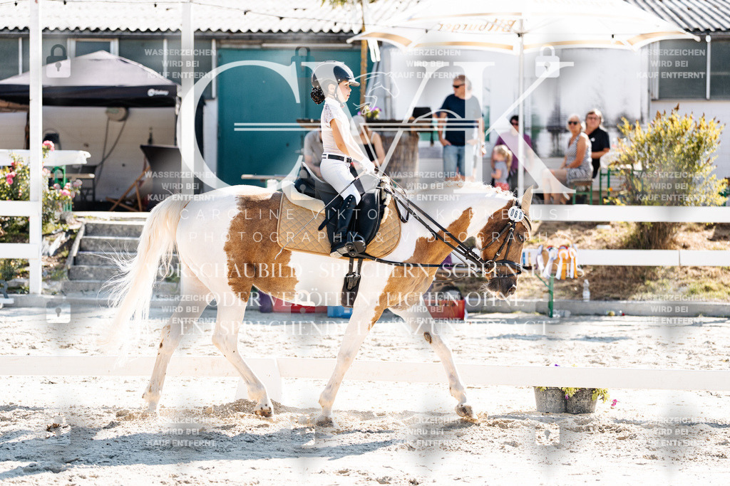 CK903255 | Turnierfotografie Pferdefotografie Trier Rheinland-Pfalz Pferdesport Reitsport Tierfotografie Sportfotografie Pferdevideo Pferdevideografie Equestrianvideography equestrianphotography  - Realisiert mit Pictrs.com