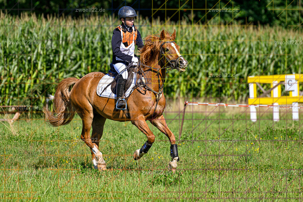 30 Jahre RFV Pulsnitz e.V., Pulsnitz am 09.08.2026 | 30Jahre Reit- und Fahrverein Pulsnitz e.V., Pulsnitz am 08.08.2026, Zur 28. breitensportlichen Veranstaltung des RFV Pulsnitz e.V. fanden verschiedene Wettbewerbe in nahezu allen Disziplinen des Pferdesport statt.- Gelände-Reitwettbewerb für Einsteiger - Realisiert mit Pictrs.com