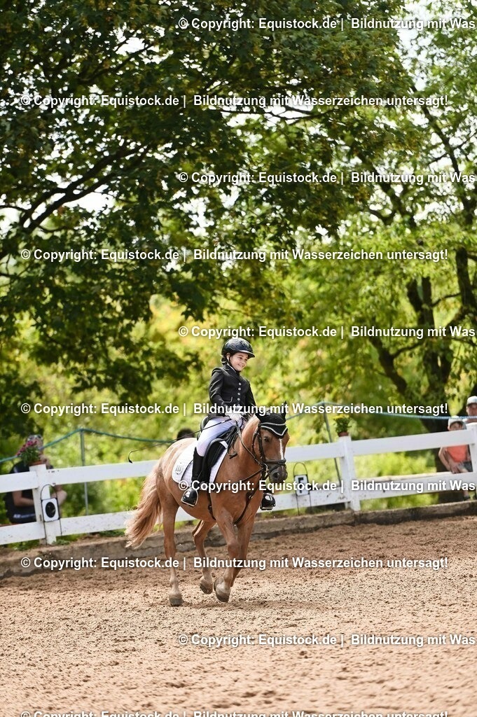 20230716_10-3_Reiter-WB Schritt - Trab - Galopp_0168 | equistock