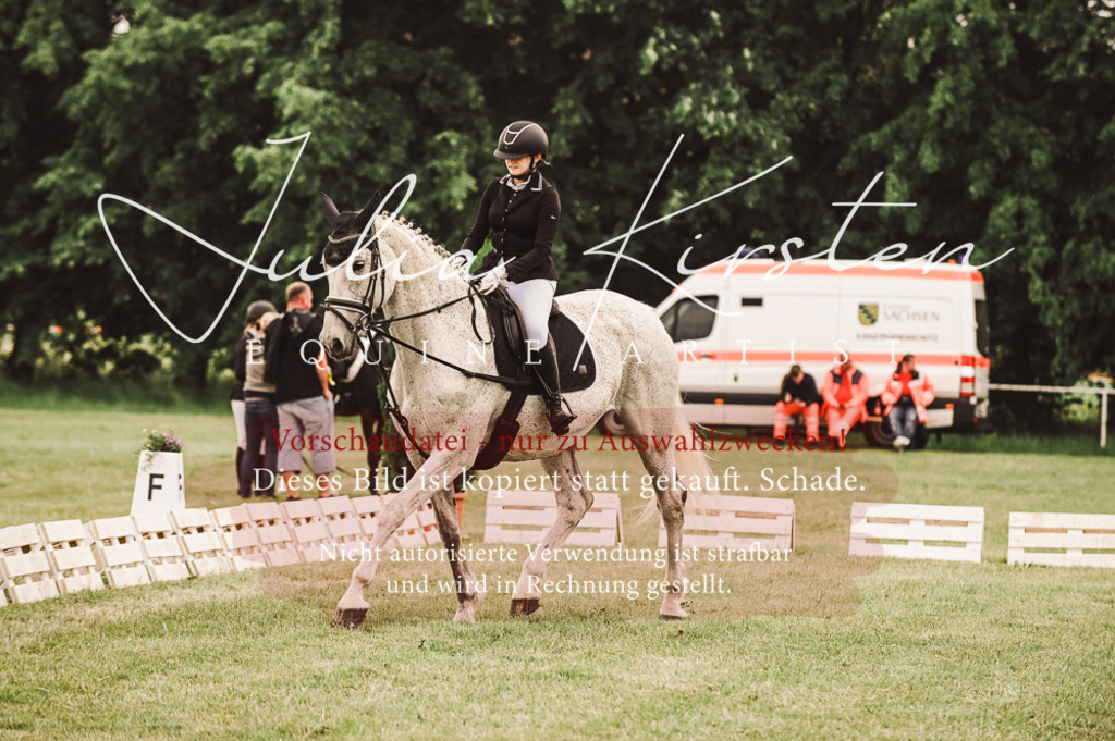DSC_5005 | Pferde- und Turnierfotografie in Westsachsen. Pferdeportraits, Auftragszeichnungen und intuitive Kunst.