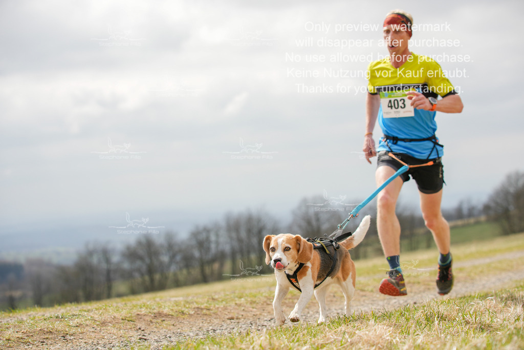 CaniXRunSA-40 | stephaniefillaphotographie - Realisiert mit Pictrs.com