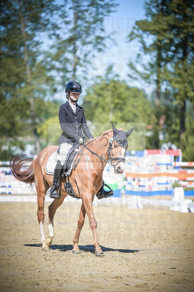 DOS_5286 | Entdecke hochwertige Reitturnierfotos von Foto Oger. Professionell, emotional und authentisch – jetzt Lieblingsmomente im Shop bestellen.Deutschlandweite Turnierfotografie. - Realisiert mit Pictrs.com