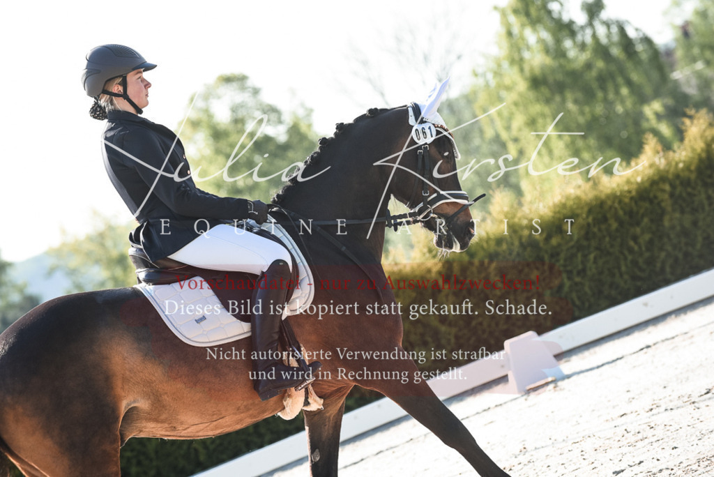 20230518_JK-Röhrsdorf-09-0373 | Pferde- und Turnierfotografie in Westsachsen. Pferdeportraits, Auftragszeichnungen und intuitive Kunst.