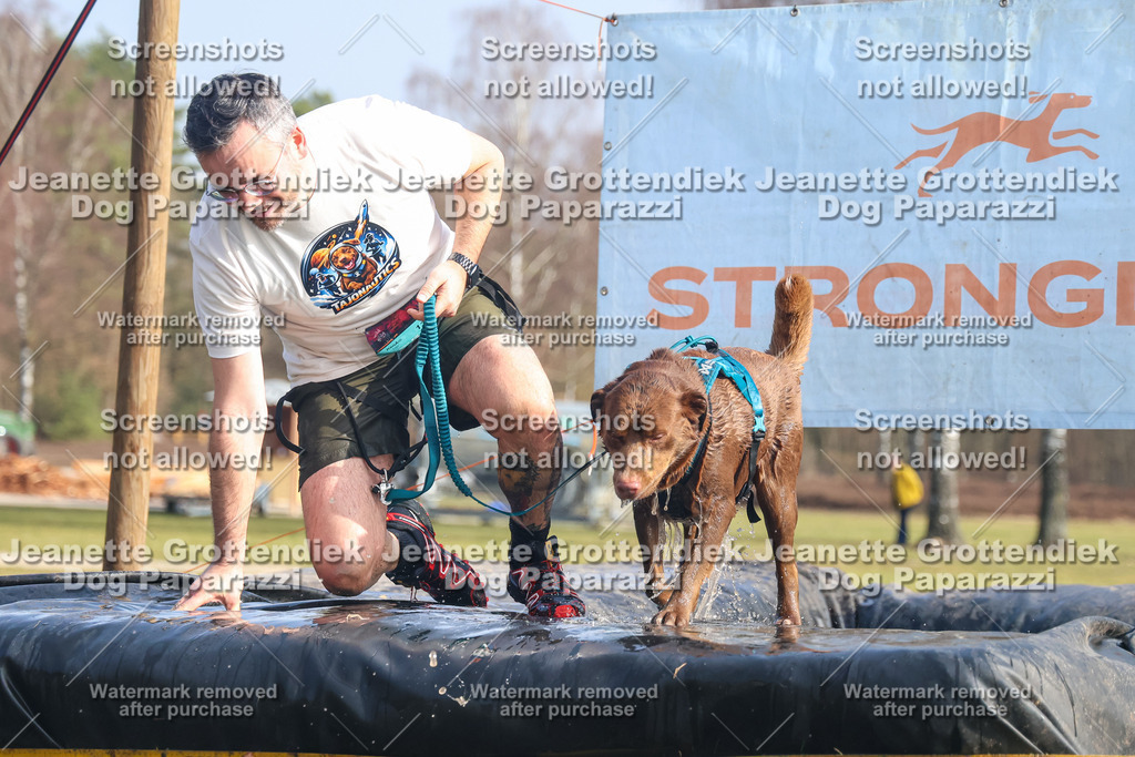 Dog Paparazzi - Strongdog North Mrz26-2070 | Dog Paparazzi Jeanette Grottendiek Fotografie & Videografie - Realisiert mit Pictrs.com
