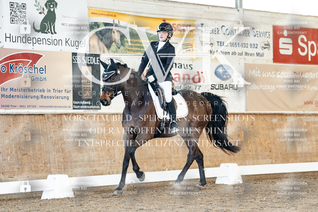 CK908007 | Turnierfotografie Pferdefotografie Trier Rheinland-Pfalz Pferdesport Reitsport Tierfotografie Sportfotografie Pferdevideo Pferdevideografie Equestrianvideography equestrianphotography  - Realisiert mit Pictrs.com