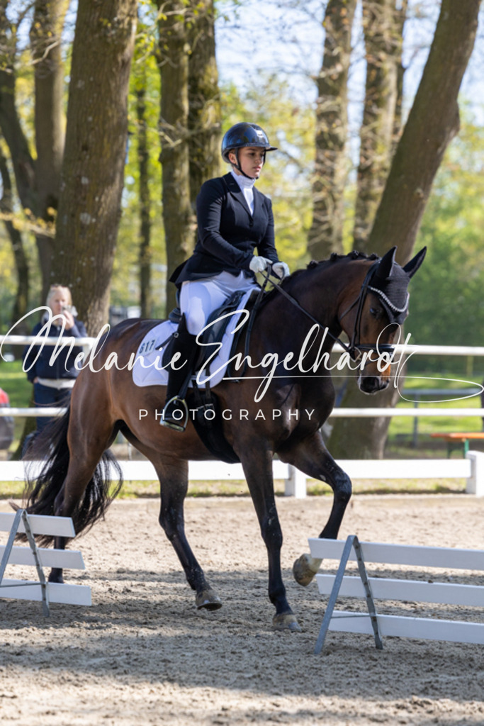 7I8A2084 | melanie-engelhardt-photography - Realisiert mit Pictrs.com