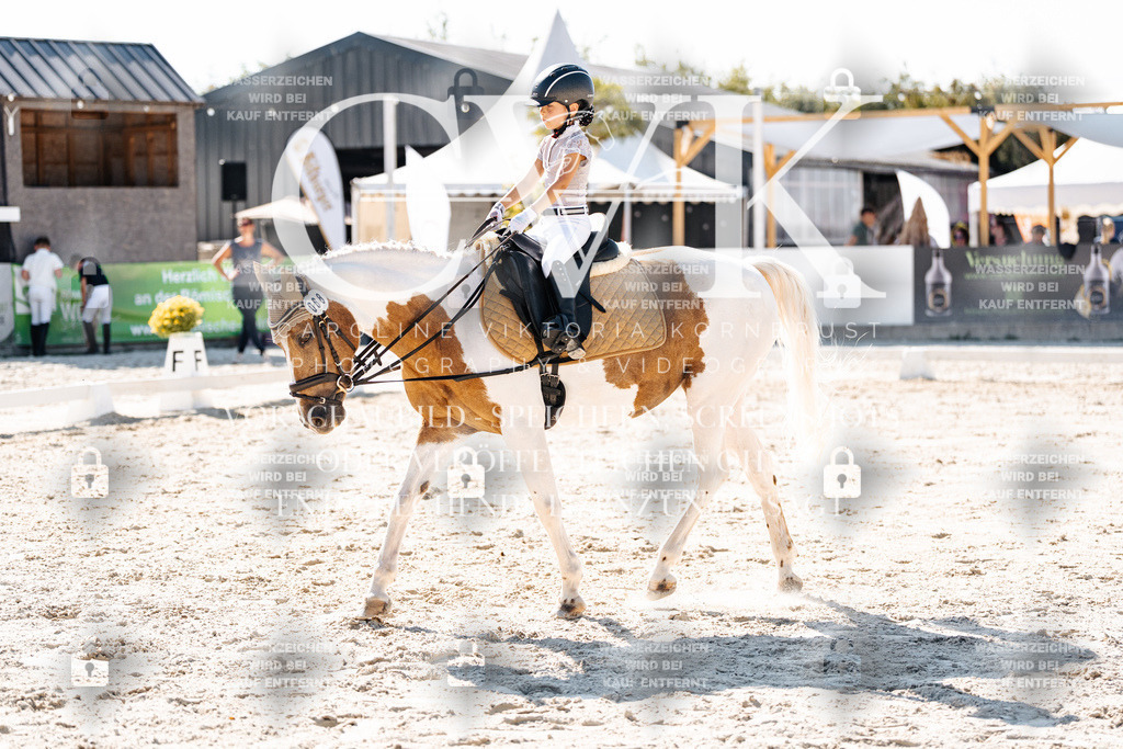 CK903295 | Turnierfotografie Pferdefotografie Trier Rheinland-Pfalz Pferdesport Reitsport Tierfotografie Sportfotografie Pferdevideo Pferdevideografie Equestrianvideography equestrianphotography  - Realisiert mit Pictrs.com