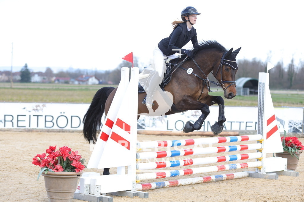 0P6A7216 | Willkommen bei Brunnmayr - Design & Fotografie – Ihrem Spezialisten für Reitturniere und Pferdeveranstaltungen in Oberösterreich, Salzburg und Bayern! Seit über 17 Jahren sind wir leidenschaftlich dabei.