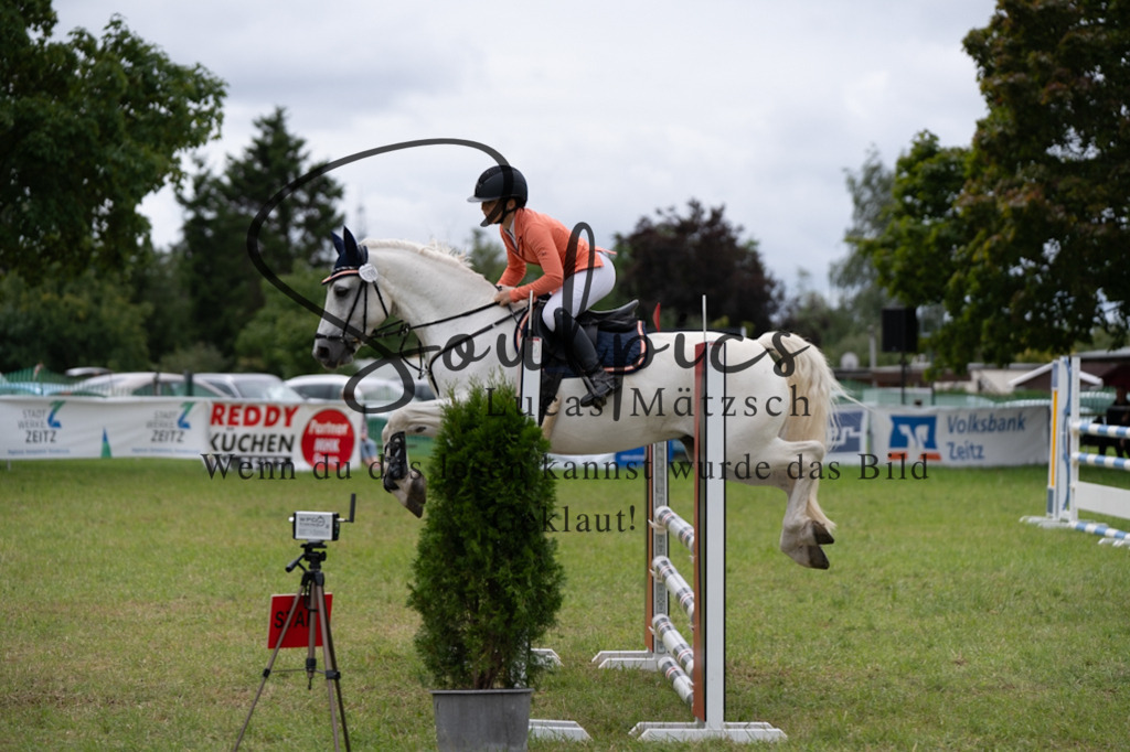 A7V05595 | Pferdefotograf