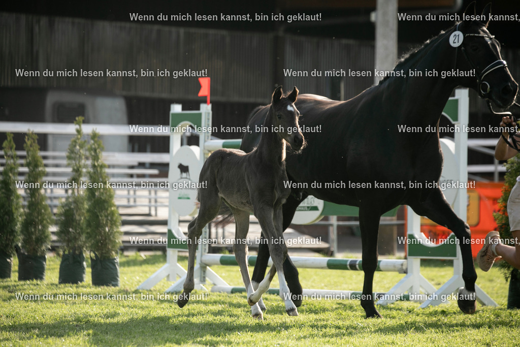 598A7442 | photographylinaismer - Realisiert mit Pictrs.com
