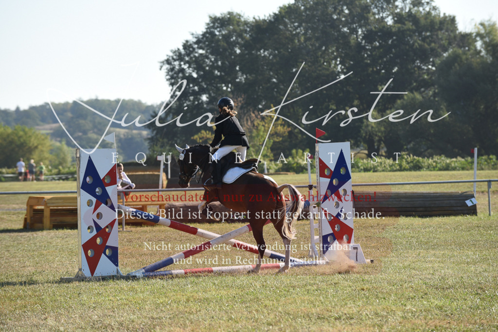 DSC_5598 | Pferde- und Turnierfotografie in Westsachsen. Pferdeportraits, Auftragszeichnungen und intuitive Kunst.
