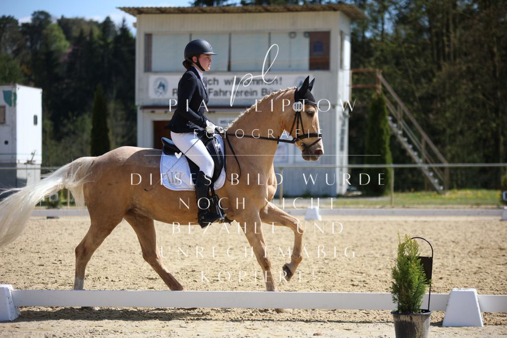 IMGT7220 | pl-fotografie