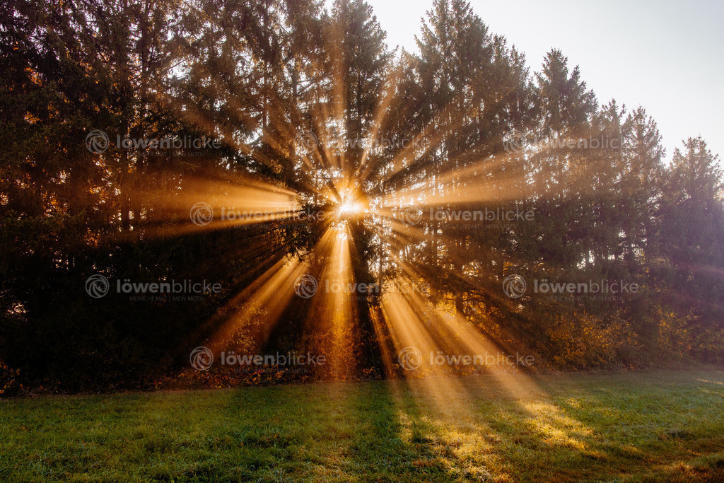 Sonnenstrahlen im Nebel bei Faurndau | löwenblicke | shop