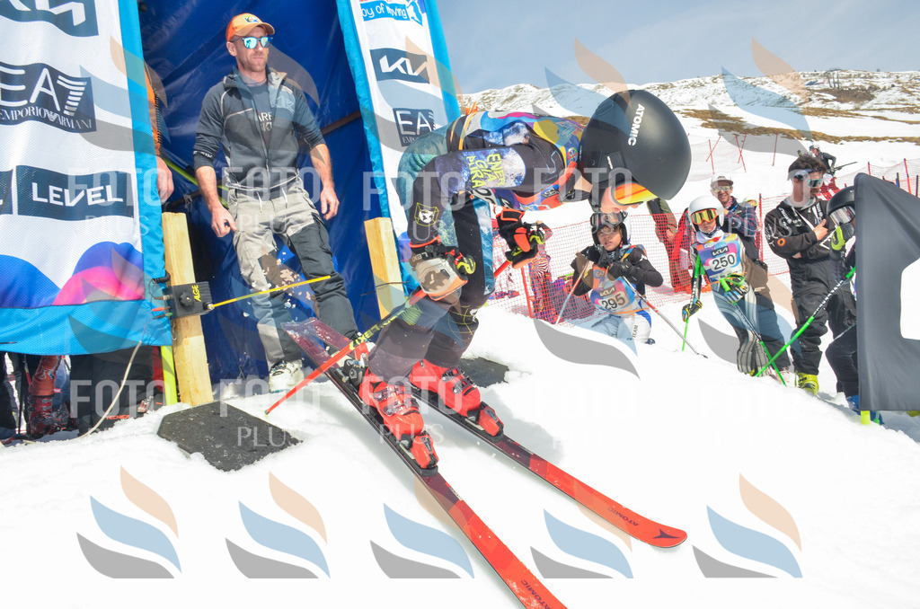 _ELE7172 | holidayphoto