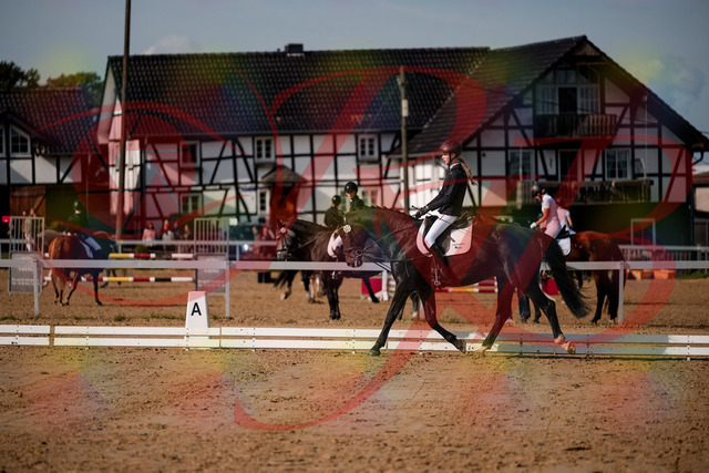 2026_10_03_Siefer-Hof_115453_Z63_30155271 | Professionelle Reitsport-, Turnier- und Eventfotografie von Robert Broda. Galerien mit ausgewählten und bearbeiteten Bildern direkt online ansehen und bestellen.